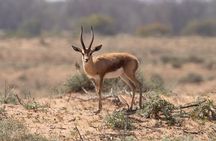Half-Day Tour in Massa National Park with Professional Guide 