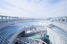 Osaka 1 Day Walking Tour with River Cruise from Osaka or Kyoto