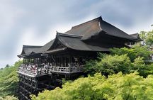 From Osaka: 10-hour Private Customizable Tour to Kyoto