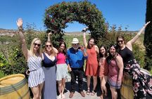 Voted Best in Sedona-Elevated Social Wine Tour of our Vineyards 