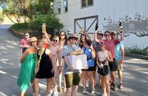 Voted Best in Sedona-Elevated Social Wine Tour of our Vineyards 