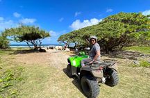 Quad Excursion South Mauritius 35km