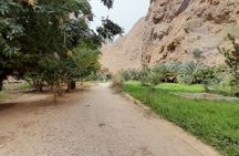  Desert Guided Overnight Camp Tour