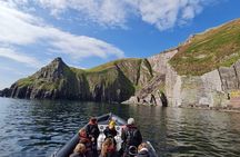 Blasket Island Sea Life Rib Tour,