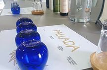 Pallada Semi-Private Olive Oil Tours in Sternes, Chania