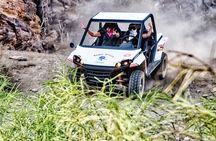 BEST BUGGY TOUR POR afternoon with Transfers only South Zone