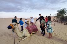 Private: Dubai's Highlights & Desert safari with BBQ dinner 