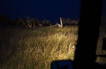 (2 Days, 1 Night) Day & Night Game Drive Tsavo East National Park