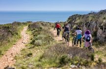 E-Bike tour - From Verudela, Pula to Cape Kamenjak