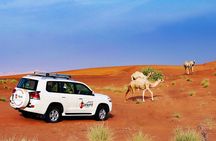 Hot Air Balloon Adventure Ride in Dubai with Hotel Pick up & drop