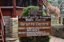 Private Tour to Giraffe Centre Adventure 