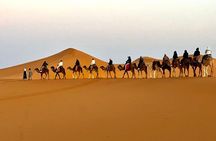 4 Days Desert Tour From Marrakech to Fes via Merzouga Dunes 
