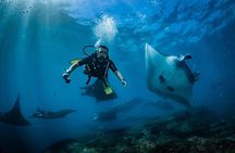 Diving in Nusa Penida