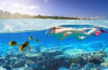 Private 2-Hour Tour in Nassau