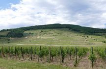 Medieval Alsace and Wine Tasting from Colmar