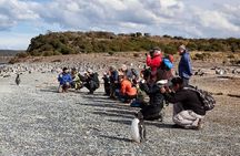 Ushuaia Half-Day Tour Beagle Canal Walking Among Pinguins