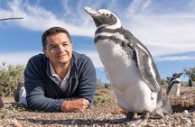 Ushuaia Half-Day Tour Beagle Canal Walking Among Pinguins