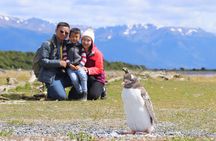 Ushuaia Half-Day Tour Beagle Canal Walking Among Pinguins