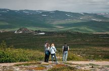 Full Day Arctic Circle Experience with Lunch