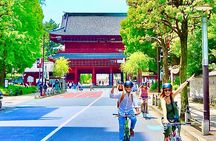 Tokyo Guided Small-Group Biking Tour
