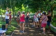 Guided Walking Street Art & Graffiti Tour in Jaco Costa Rica 
