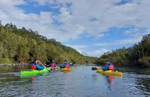 Kayak through the Sunken Forest of the Maullín River