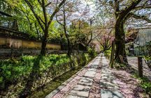 Early Bird E-biking through East Kyoto