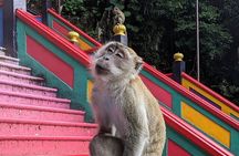 Batu Caves, Waterfalls and Hot Springs Tour With Lunch