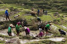 Sapa Hmong Family Trekking Adventures
