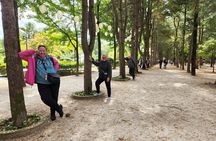 3 Days Essential Tour-Seoul, Nami/petite/Morning Calm and DMZ