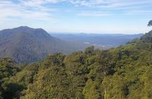 Port Macquarie Day Tour to Water Falls and Lookouts 