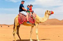 Dubai: Desert Camel Ride with Live Shows & BBQ Buffet Dinner
