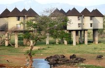 3 Days 2 Nights Safari to Saltlick Lodge from Nairobi
