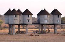 3 Days 2 Nights Safari to Saltlick Lodge from Nairobi