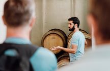 Wine tasting and winery tour at Fikardos Winery