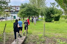 Wine Tasting and Tour of Lugana Wines in Sirmione