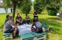 Wine Tasting and Tour of Lugana Wines in Sirmione