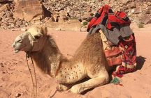 03 Days Petra, Wadi Rum & Dead Sea from Amman