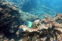 Scuba Diving in Kalpitiya