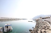 2 Dives for certified divers in Fujairah with BBQ lunch