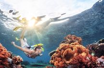 Snorkeling in Trincomalee