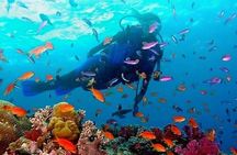 Snorkeling in Trincomalee