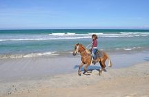 Macao Beach Horseback Ride from Punta Cana