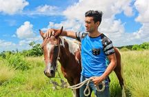 Macao Beach Horseback Ride from Punta Cana