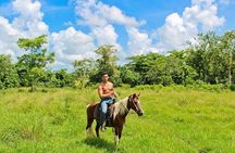 Macao Beach Horseback Ride from Punta Cana
