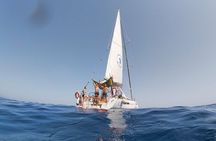 Barcelona: Mediterranean Sailing Experience with Open Bar