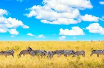  Private Tour of Tsavo East National Park from Mombasa