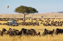  3 Days 2Nights Group Joining Maasai Mara Safari by a 4 x4 jeep