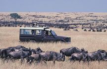 4 day Group Safari To Maasai Mara and L. Nakuru Park by 4x4 jeep
