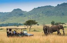 Masai Mara National Reserve 3 Day Tour Experience With 4*4vehicle